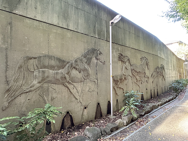 松戸市　「野馬除緑地」